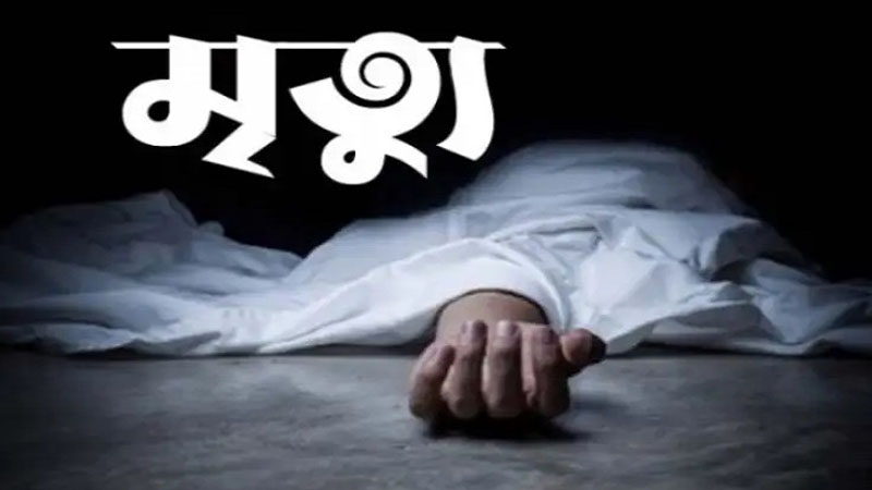 আমতলীতে পুত্রবধুর মৃত্যুর খবর শুনে শ্বশুরের মৃত্যু