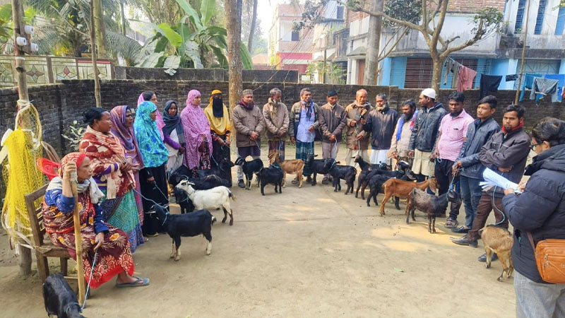 জীবনমান উন্নয়নে ঠাকুরগাঁওয়ে ব্যতিক্রমী সহায়তা