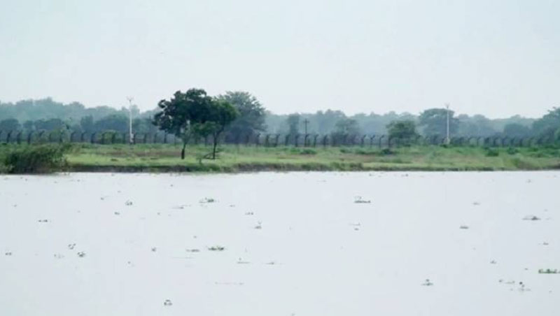 চাঁপাইনবাবগঞ্জ সীমান্তে বিএসএফের রাবার বুলেটে আহত জেলে, নিখোঁজ ১