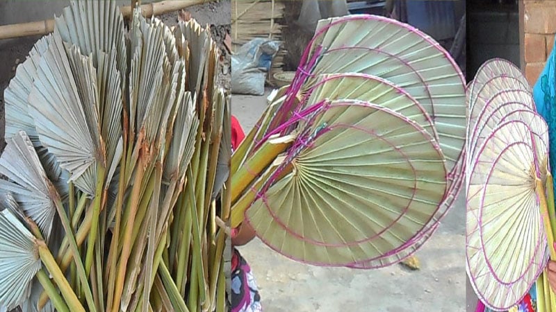 দুই শতাধিক পরিবারের জীবিকা এখন তালের হাতপাখা