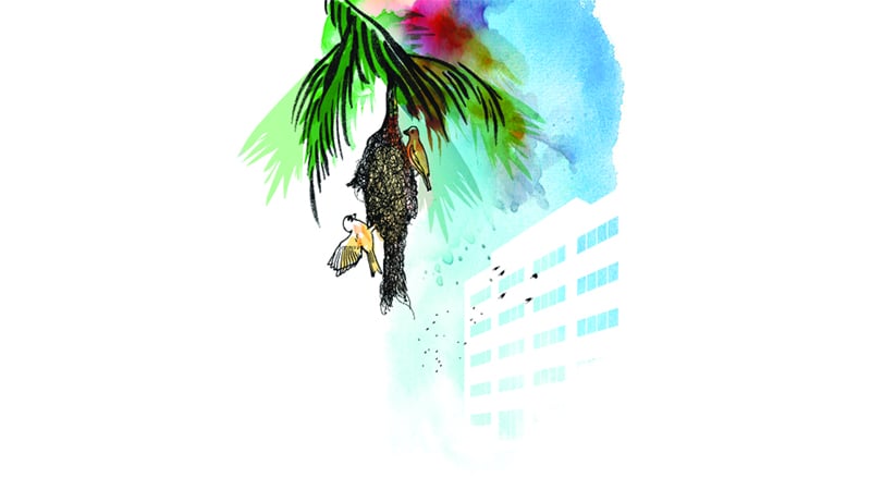 প্রিয় স্বাধীনতা