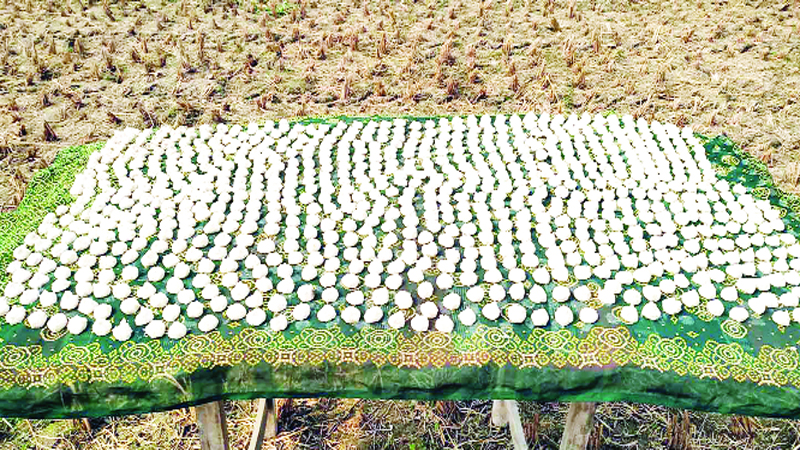 গ্রাম বাংলার ঐতিহ্য রঙিন করে তোলে শীতের সকাল
