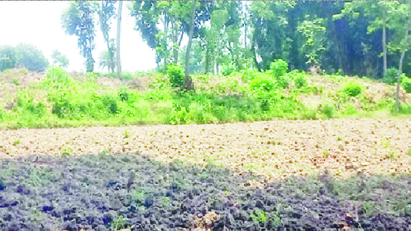 যশোর সদরের নিশ্চিন্তপুর গড়ের প্রাচীন স্মৃতি