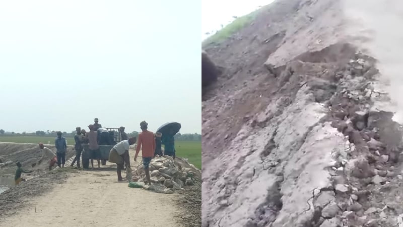 সামান্য বৃষ্টিতে ফসলরক্ষা বাঁধে ধস ও ফাটল, আতঙ্কে কৃষক