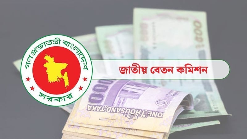 পে স্কেল বাস্তবায়নের বাজেট ব্যয় হচ্ছে যেসব খাতে