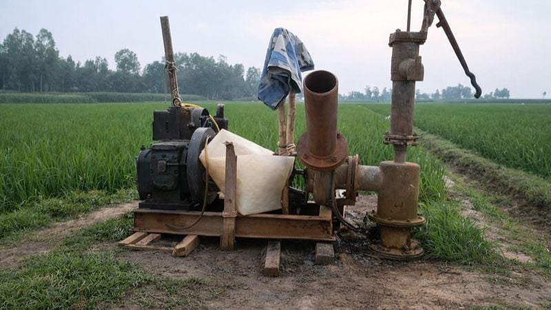 ডিজেল সংকটে দিশেহারা‎ টাঙ্গাইলের চরাঞ্চলের চাষিরা বোরো চাষাবাদ নিয়ে শঙ্কা