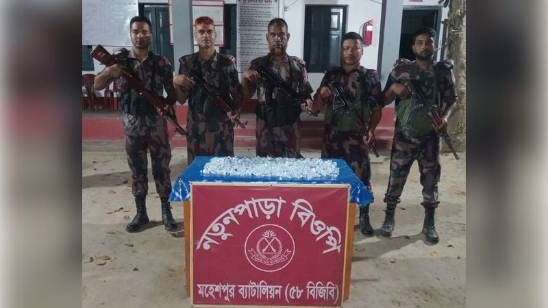 জীবননগর সীমান্ত থেকে ৯৫ লাখ টাকার ভারতীয় ডিএনএ টেস্ট কিট উদ্ধার