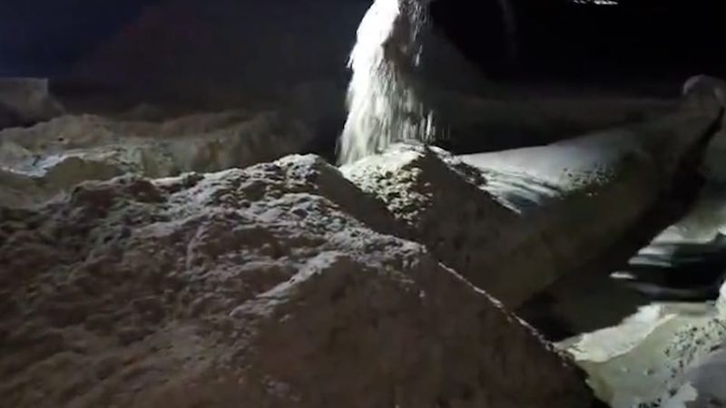 সৈকতে ভেসে এলো বিশাল আকৃতির মৃত তিমি