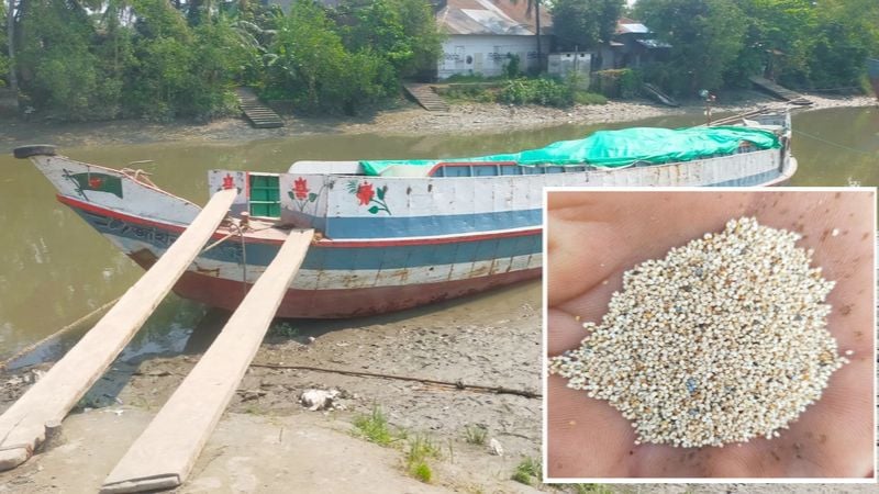 বাউফলে ৮শ বস্তা নিষিদ্ধ পপি বীজ জব্দ