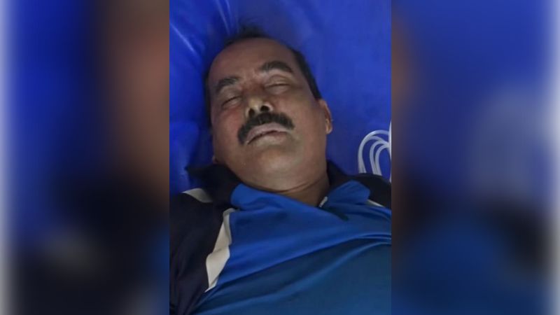 মেহেরপুরে মৌমাছির আক্রমণে কৃষকের মৃত্যু