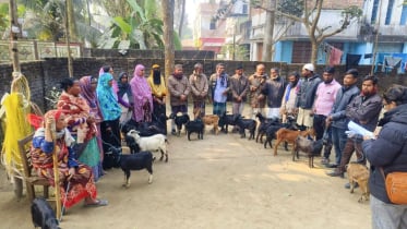 জীবনমান উন্নয়নে ঠাকুরগাঁওয়ে ব্যতিক্রমী সহায়তা