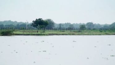 চাঁপাইনবাবগঞ্জ সীমান্তে বিএসএফের রাবার বুলেটে আহত জেলে, নিখোঁজ ১