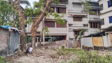 বাউফলে বকুলতলা সরকারি প্রাথমিক বিদ্যালয়ের গাছ কেটে নেয়ার অভিযোগ বাউফলে বকুলতলা সরকারি প্রাথমিক বিদ্যালয়ের গাছ কেটে নেয়ার অভিযোগ