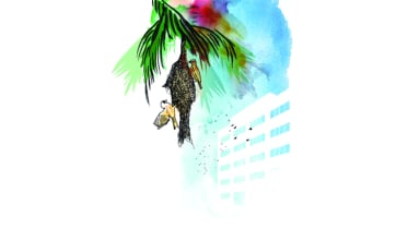 প্রিয় স্বাধীনতা