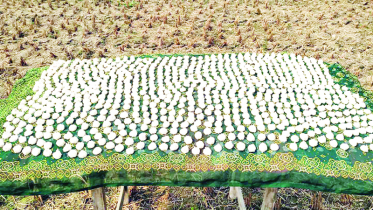 গ্রাম বাংলার ঐতিহ্য রঙিন করে তোলে শীতের সকাল