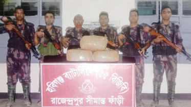 হবিগঞ্জে পৃথক অভিযানে ভারতীয় গাঁজা জব্দ