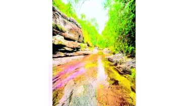 সাত রঙয়ের নদী রেইনবো রিভার