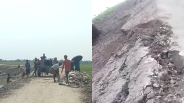 সামান্য বৃষ্টিতে ফসলরক্ষা বাঁধে ধস ও ফাটল, আতঙ্কে কৃষক