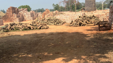 লোহাগাড়ায় ইটভাটায় পুড়ছে কাঠ, হুমকিতে পরিবেশ 