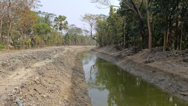 খাল পুনঃখননে বদলে গেছে তালতলীর হাজারো কৃষকের ভাগ্য