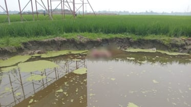 ব্রাহ্মণবাড়িয়ায় ডোবা থেকে অজ্ঞাত ব্যক্তির মরদেহ উদ্ধার
