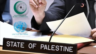 ফিলিস্তিনের পূর্ণ সদস্যপদে জাতিসংঘের নিরাপত্তা পরিষদের সমর্থন চাইল ওআইসি