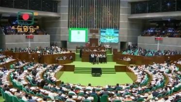 ১১ সদস্যের সংসদ কমিটি গঠন, দায়িত্বে যারা