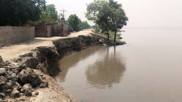 টেকসই বাঁধ না থাকায় ইছামতি নদী গিলে খাচ্ছে সীমান্তবর্তী বাংলাদেশের ভূখণ্ড
