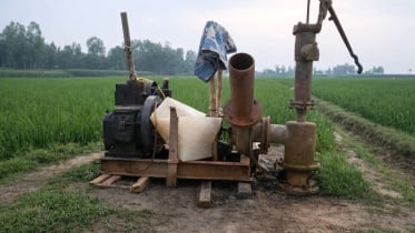 ডিজেল সংকটে দিশেহারা‎ টাঙ্গাইলের চরাঞ্চলের চাষিরা বোরো চাষাবাদ নিয়ে শঙ্কা