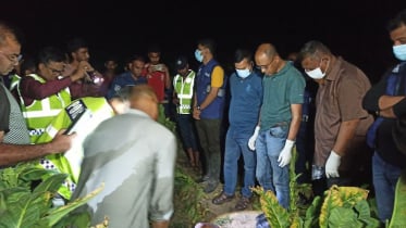 চুয়াডাঙ্গার গোপালপুর মাঠে এক গৃহবধূকে কুপিয়ে হত্যা