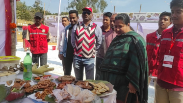 খাগড়াছড়িতে দিনব্যাপী পিঠা উৎসবের আয়োজন
