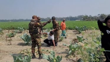 মাকহাটি কেন্দ্রে মুহুর্মুহু ককটেল বিস্ফোরণ, গ্রেফতার ৫, ককটেল উদ্ধার