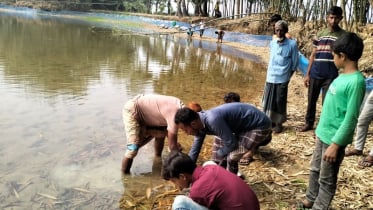 আক্কেলপুরে পূর্ব বিরোধের জেরে পুকুরে বিষ দিয়ে রেনু পোনা নিধনের অভিযোগ