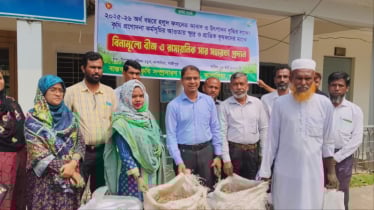 হলুদ চাষ বৃদ্ধিতে কৃষকদের মাঝে বিনামূল্যে বীজ ও সার বিতরণ