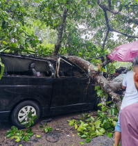 টেকনাফে মাইক্রোবাসের ওপর ভেঙে পড়লো গাছ: আহত ৩