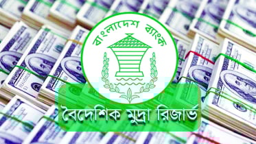 মার্চের প্রথম ১৪ দিনে রেমিট্যান্স এসেছে ২২০ কোটি  ডলার