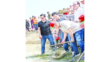 দেশের মানুষই সুন্দর আগামী গড়ে তুলবে দেশের মানুষই সুন্দর আগামী গড়ে তুলবে