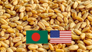 বেশি দামে যুক্তরাষ্ট্র থেকে গম কিনছে সরকার