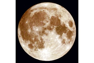 চাঁদের মাটিতে সফলভাবে ছোলা ফলানোর দাবি