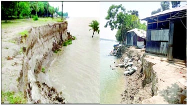 বরিশালে ভাঙনের ঝুঁকিতে কৃষি জমি ও ঘরবাড়ি