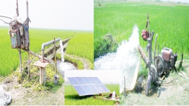 রংপুর অঞ্চলের ৫ জেলায় ঝুঁকিতে বোরো আবাদ