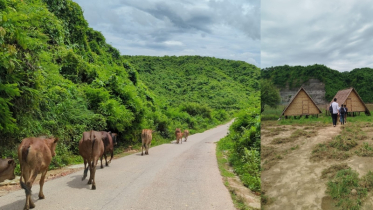 পাহাড় ঝর্ণায় হারিয়েছি ‘সৌন্দর্য-পিয়াসী’ মন