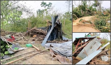 নালিতাবাড়ীতে হঠাৎ ঝড় ও শিলাবৃষ্টিতে ব্যাপক ক্ষয়ক্ষতি 