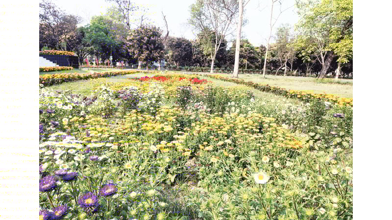 শূন্য ক্যাম্পাসে বসন্তের আগমন ইবিতে গড়ে উঠেছে ফুলের সাম্রাজ্য