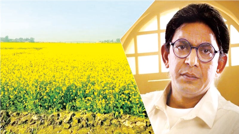 সরিষা খেতে দম নিচ্ছেন চঞ্চল চৌধুরী