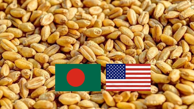 বেশি দামে যুক্তরাষ্ট্র থেকে গম কিনছে সরকার