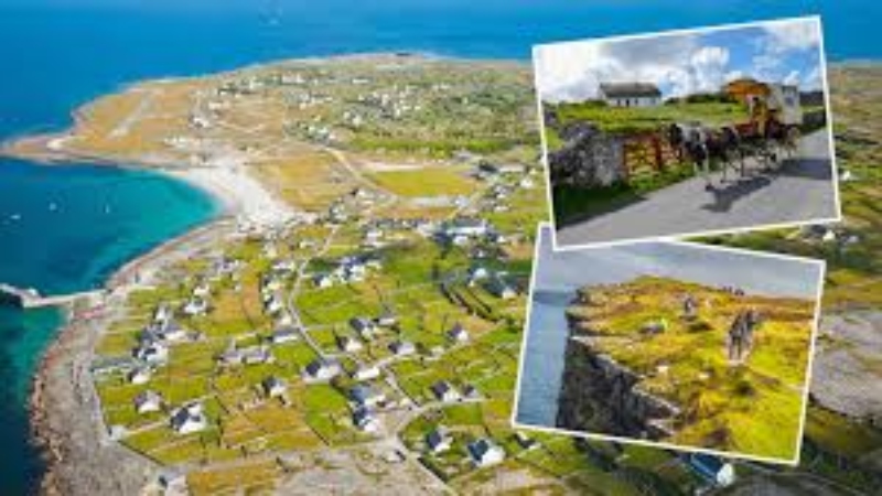 যে দেশে নতুন জীবন শুরু করলেই পাবেন ৯০ হাজার ডলার!