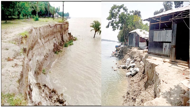 বরিশালে ভাঙনের ঝুঁকিতে কৃষি জমি ও ঘরবাড়ি