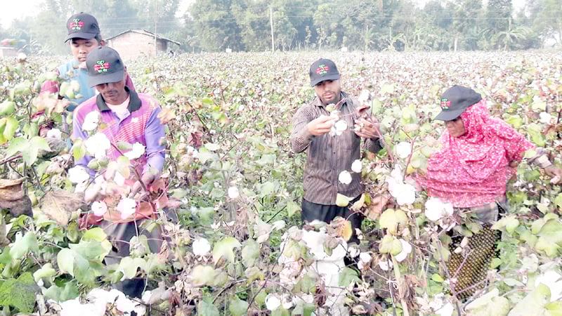 লাভ হচ্ছে দ্বিগুণ