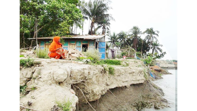 বাকেরগঞ্জে নদীগর্ভে বিলীন বসতবাড়ি ও ফসলি জমি